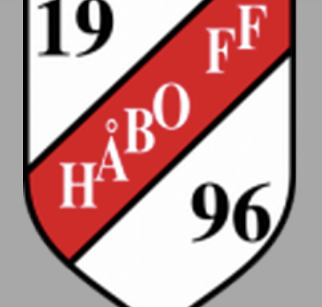 Huvudtränare